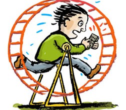 hamter-wheel